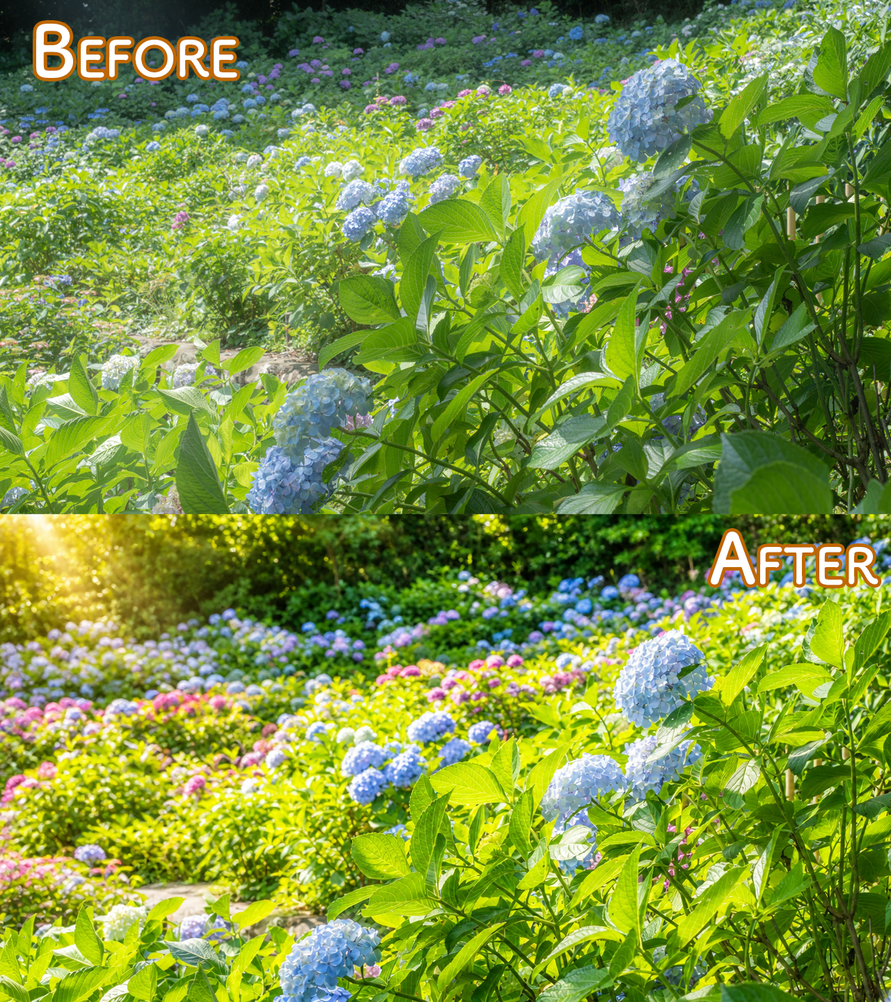 AIで写真のレタッチはできるのか
